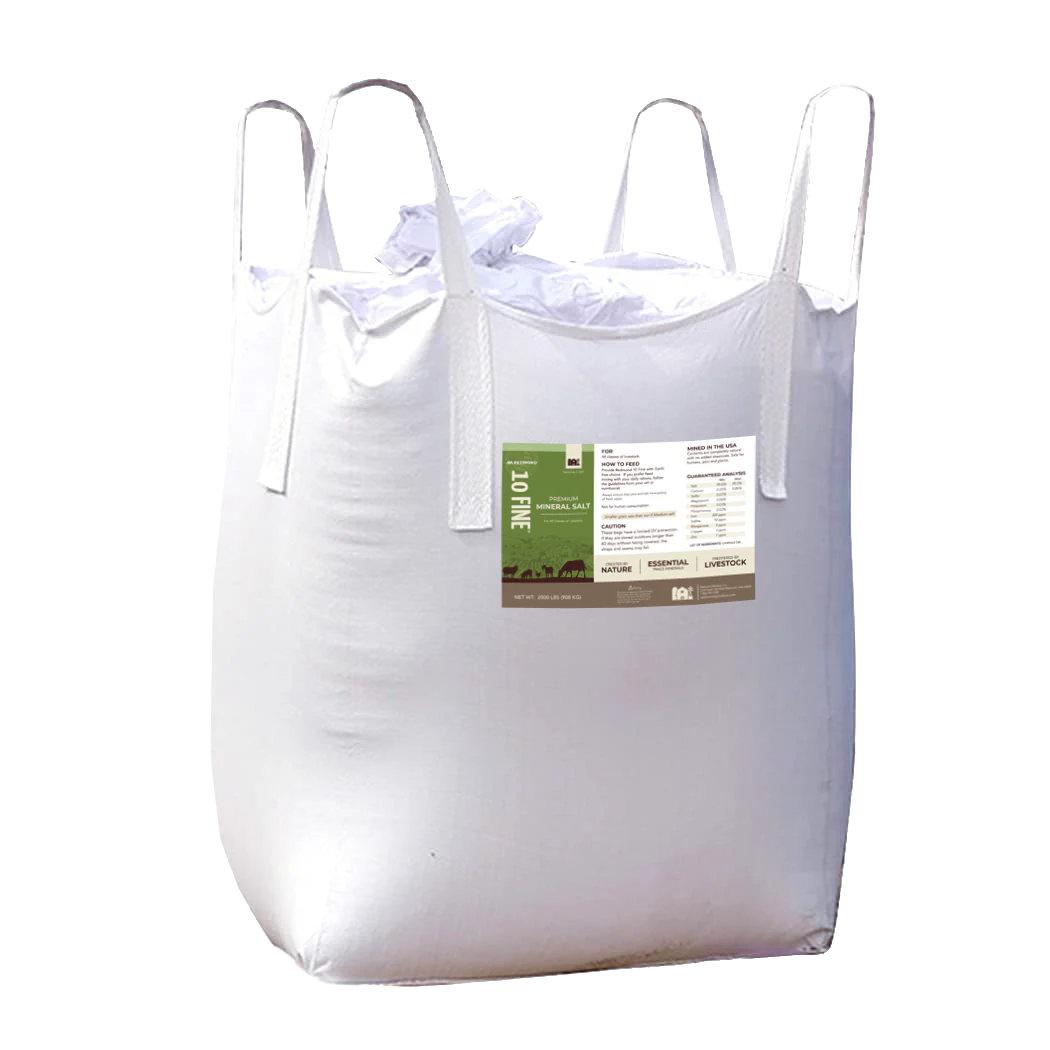10 Fine - Premium Mineral Salt - Image 4