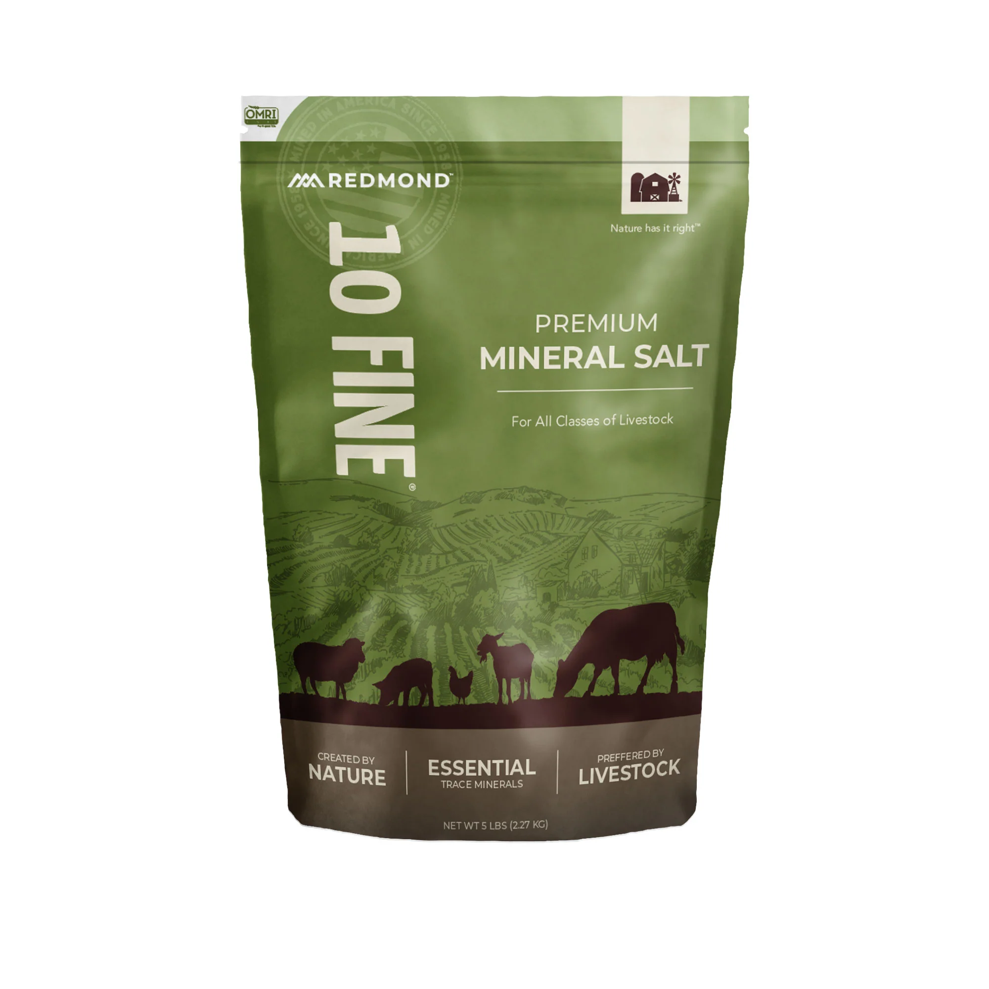 10 Fine - Premium Mineral Salt - Image 5