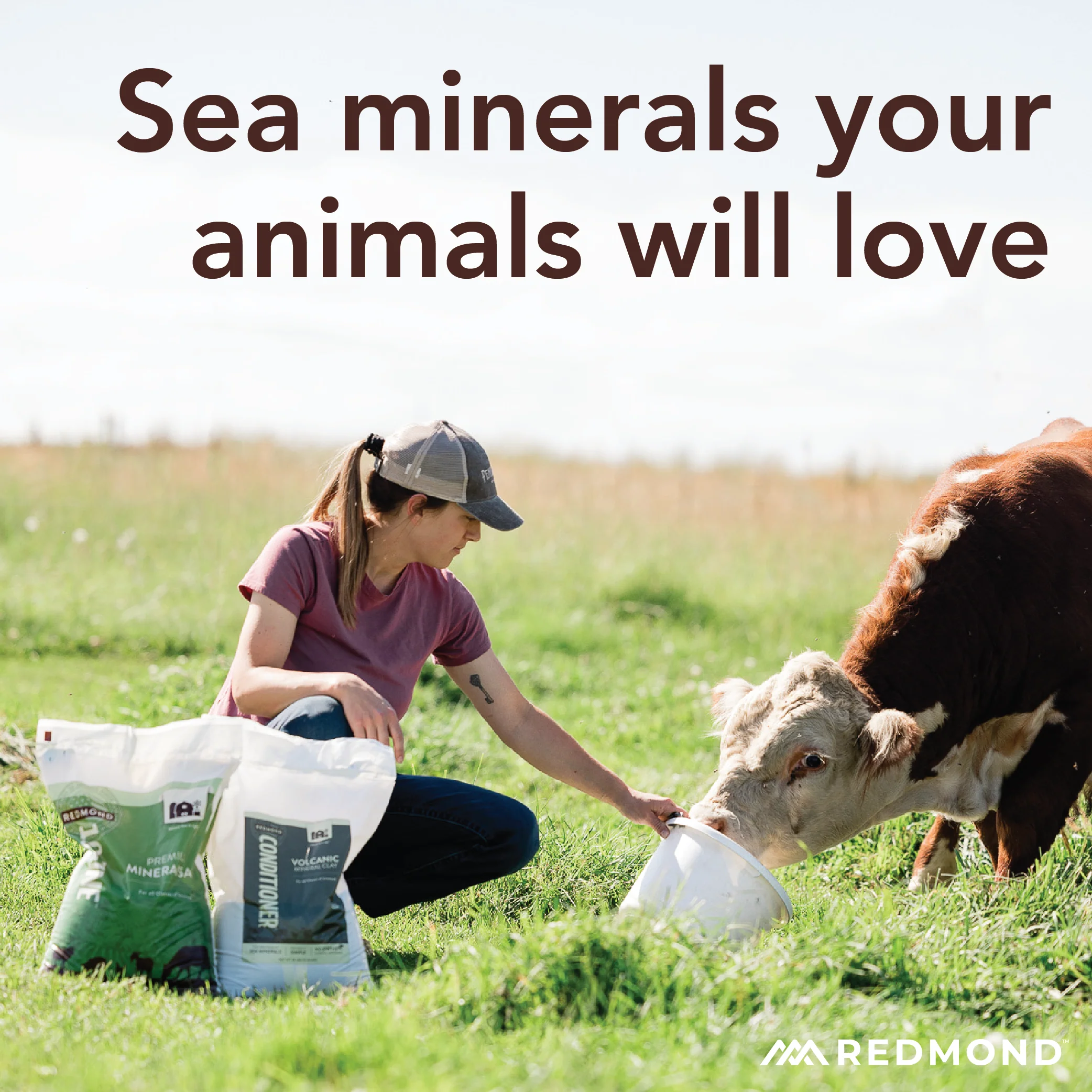 10 Fine - Premium Mineral Salt - Image 7