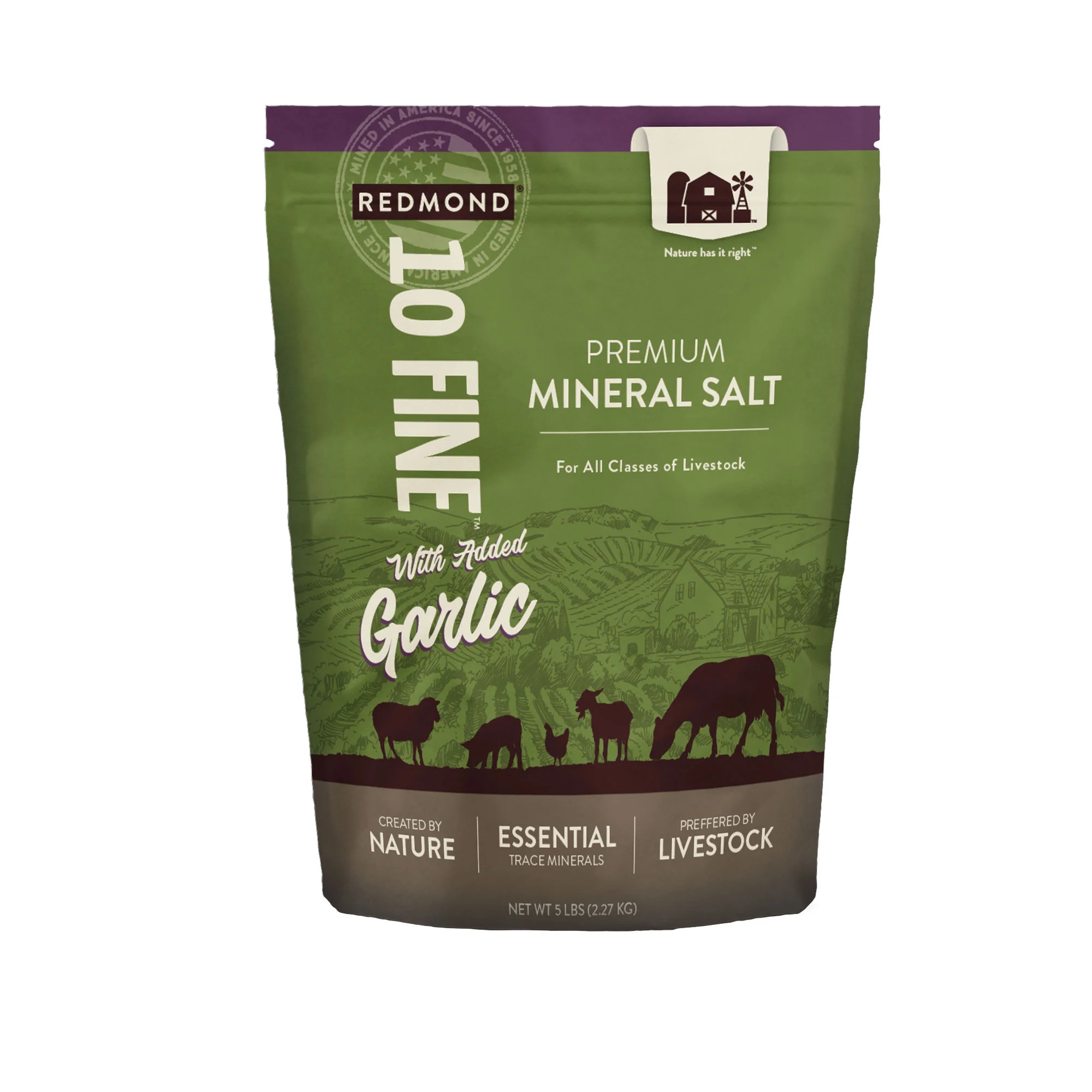 10 Fine with Garlic - Image 6