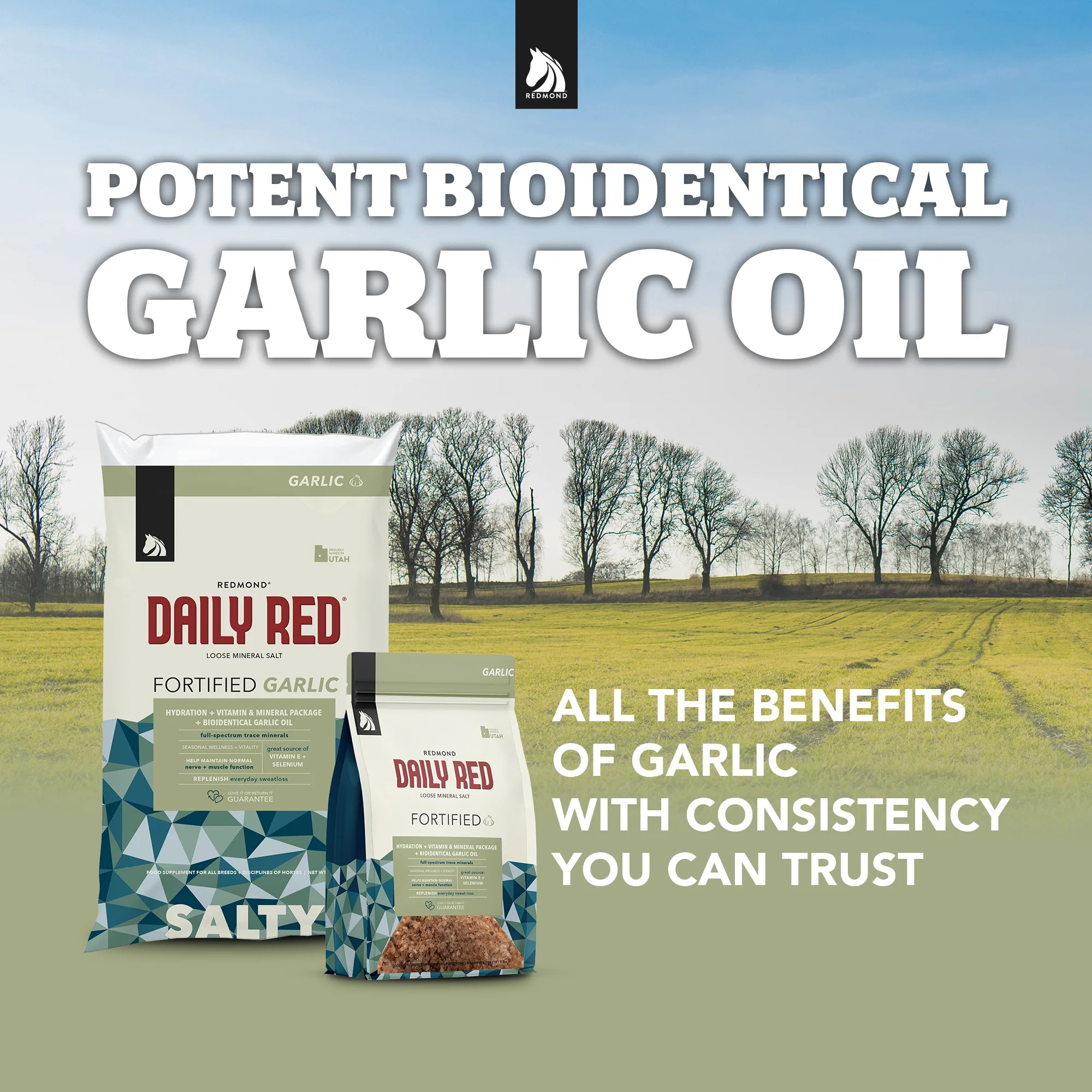 Daily Red® Fortified Garlic - Horse Vitamin & Mineral Supplement - Image 3