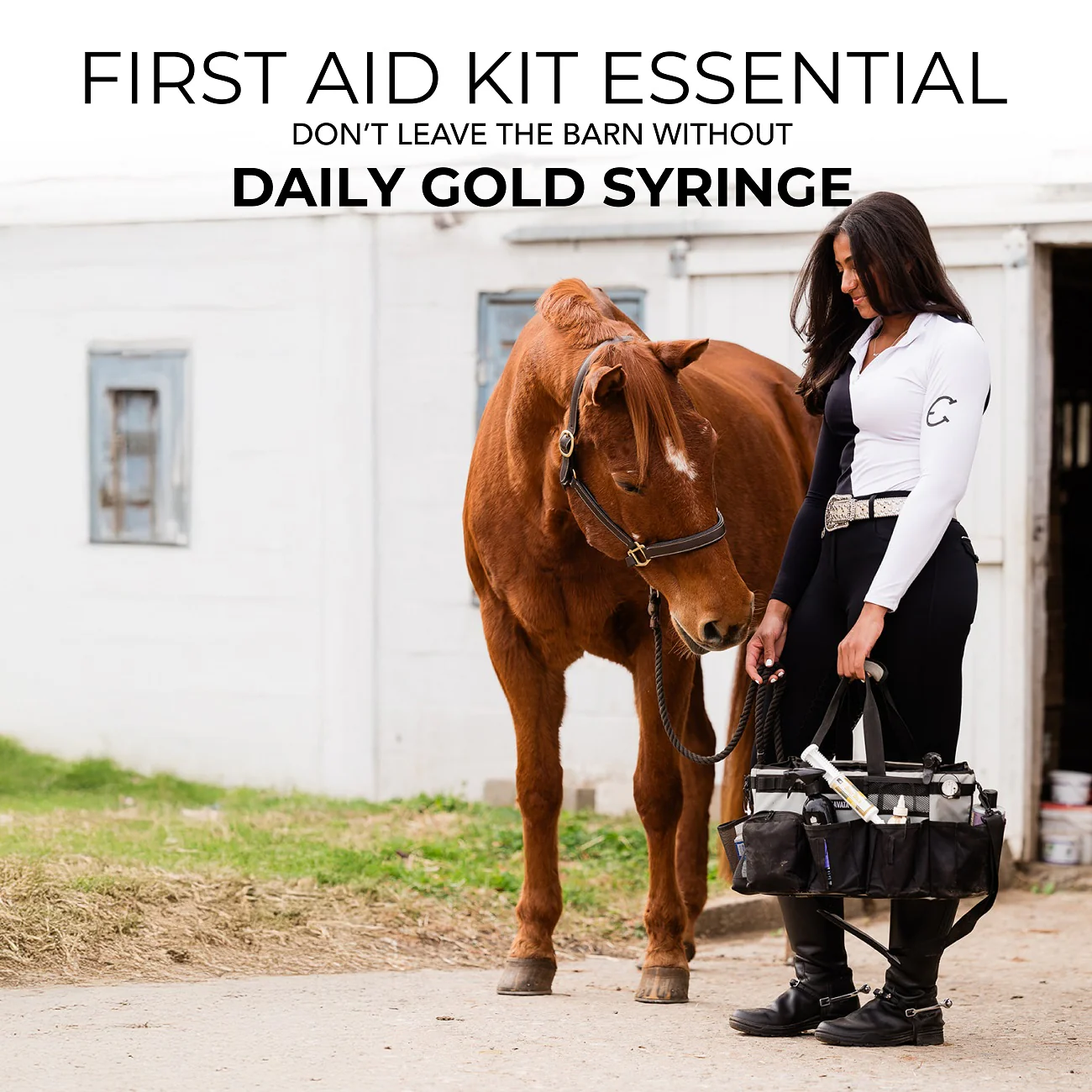 Daily Gold® Syringe - Digestive Stress Relief Horse Paste - Image 10