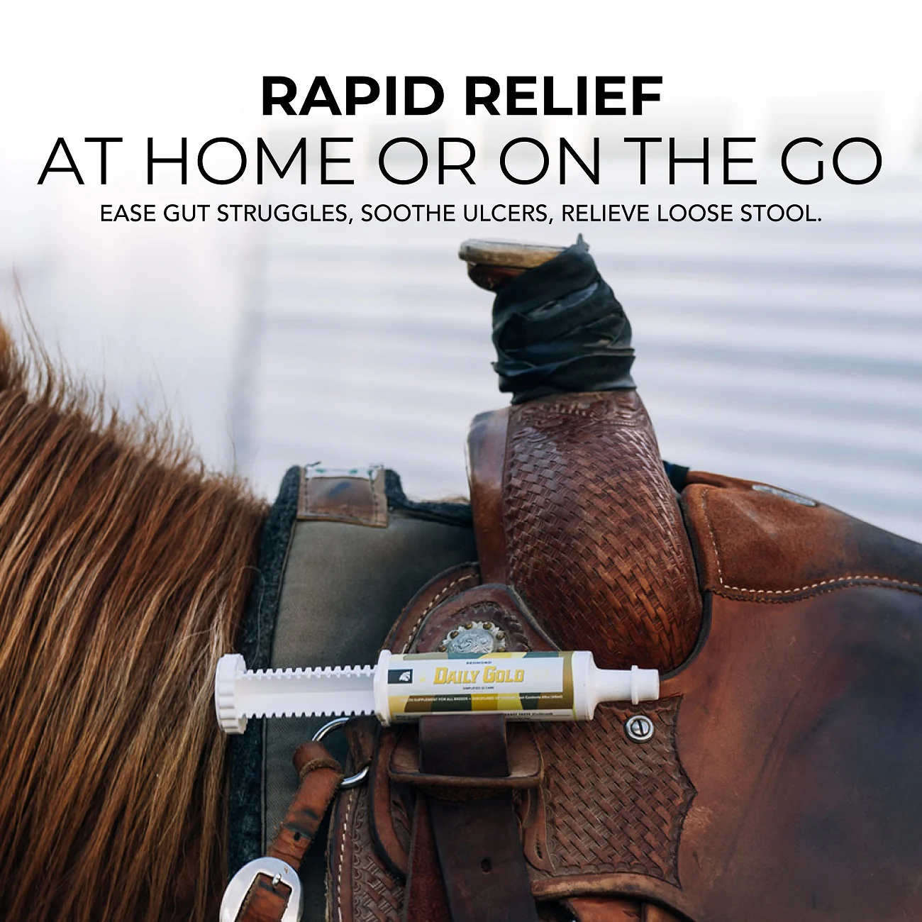 Daily Gold® Syringe - Digestive Stress Relief Horse Paste - Image 11