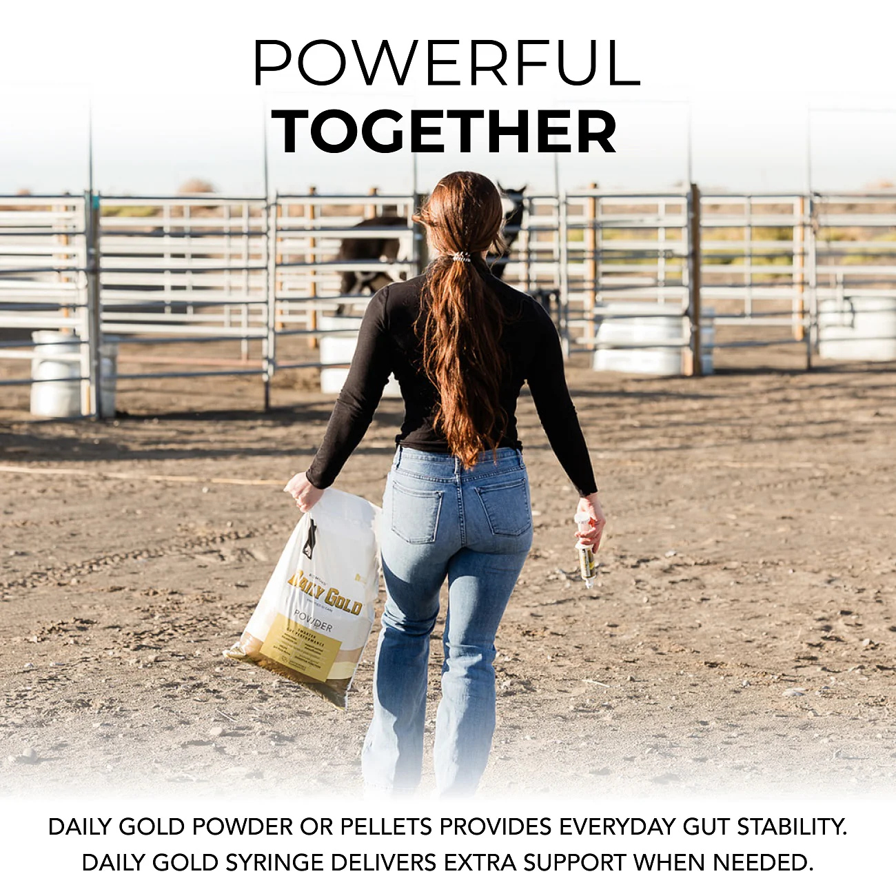 Daily Gold® Syringe - Digestive Stress Relief Horse Paste - Image 7