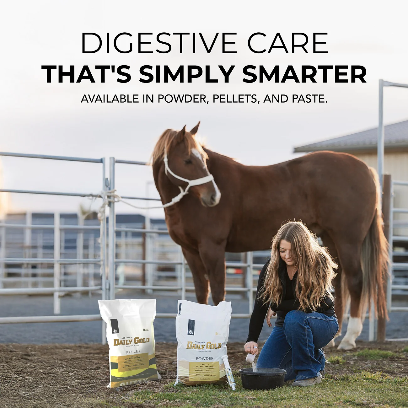 Daily Gold® Syringe - Digestive Stress Relief Horse Paste - Image 8