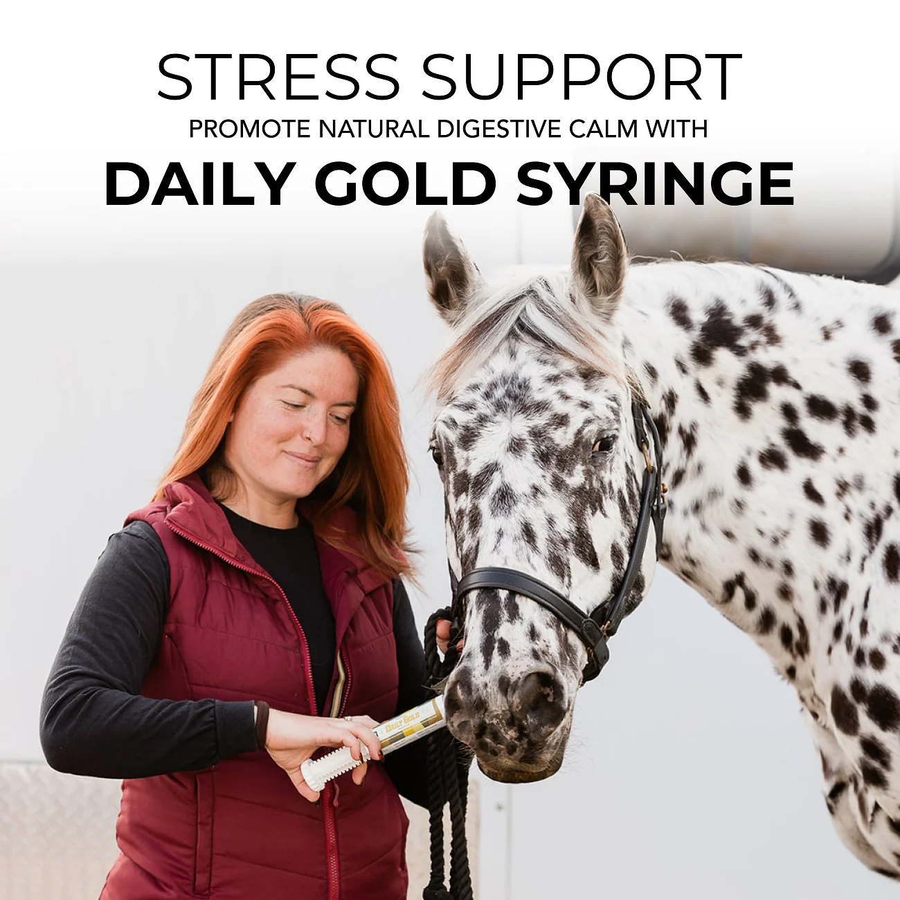Daily Gold® Syringe - Digestive Stress Relief Horse Paste - Image 9