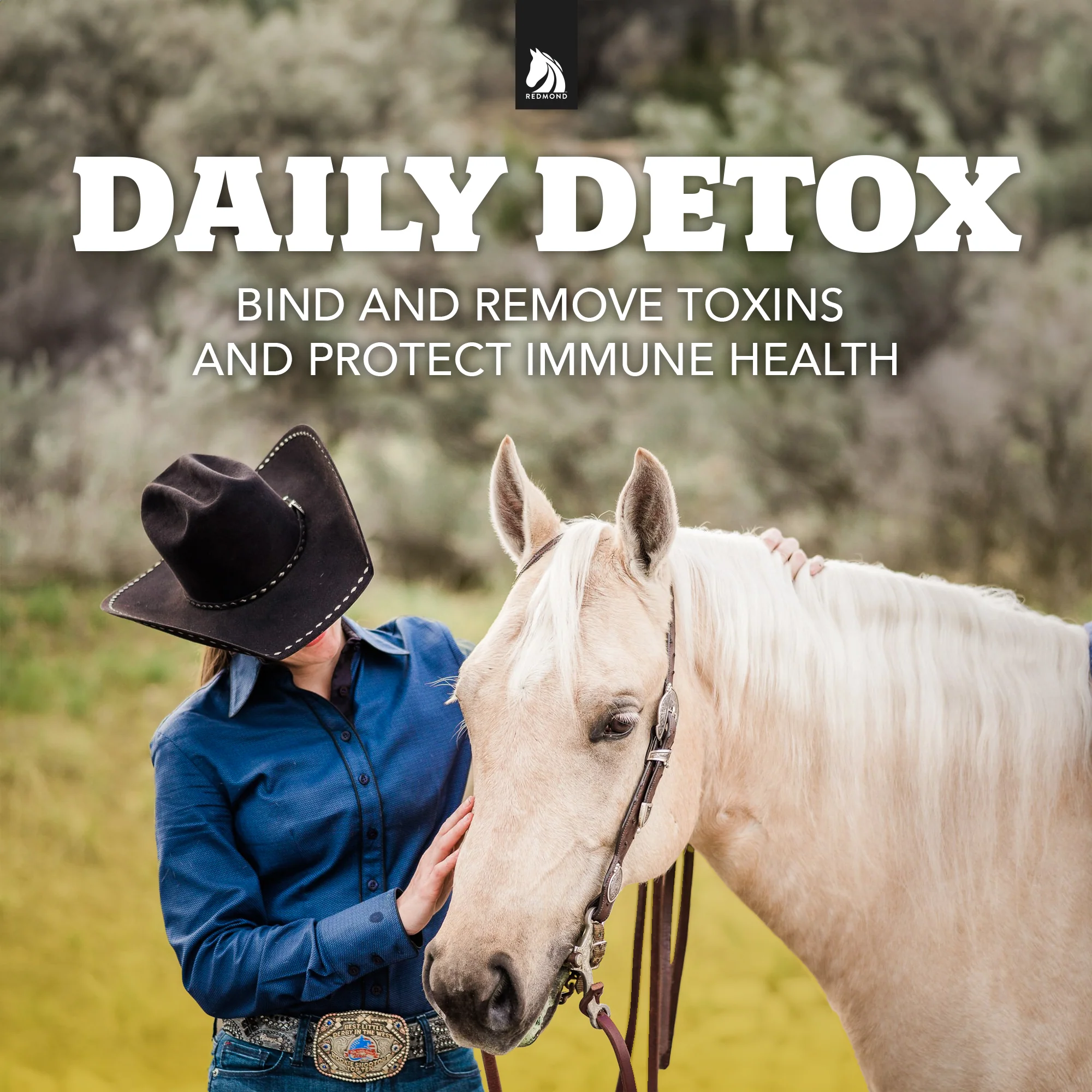 Daily Gold® - Horse Gut Supplements - Image 4