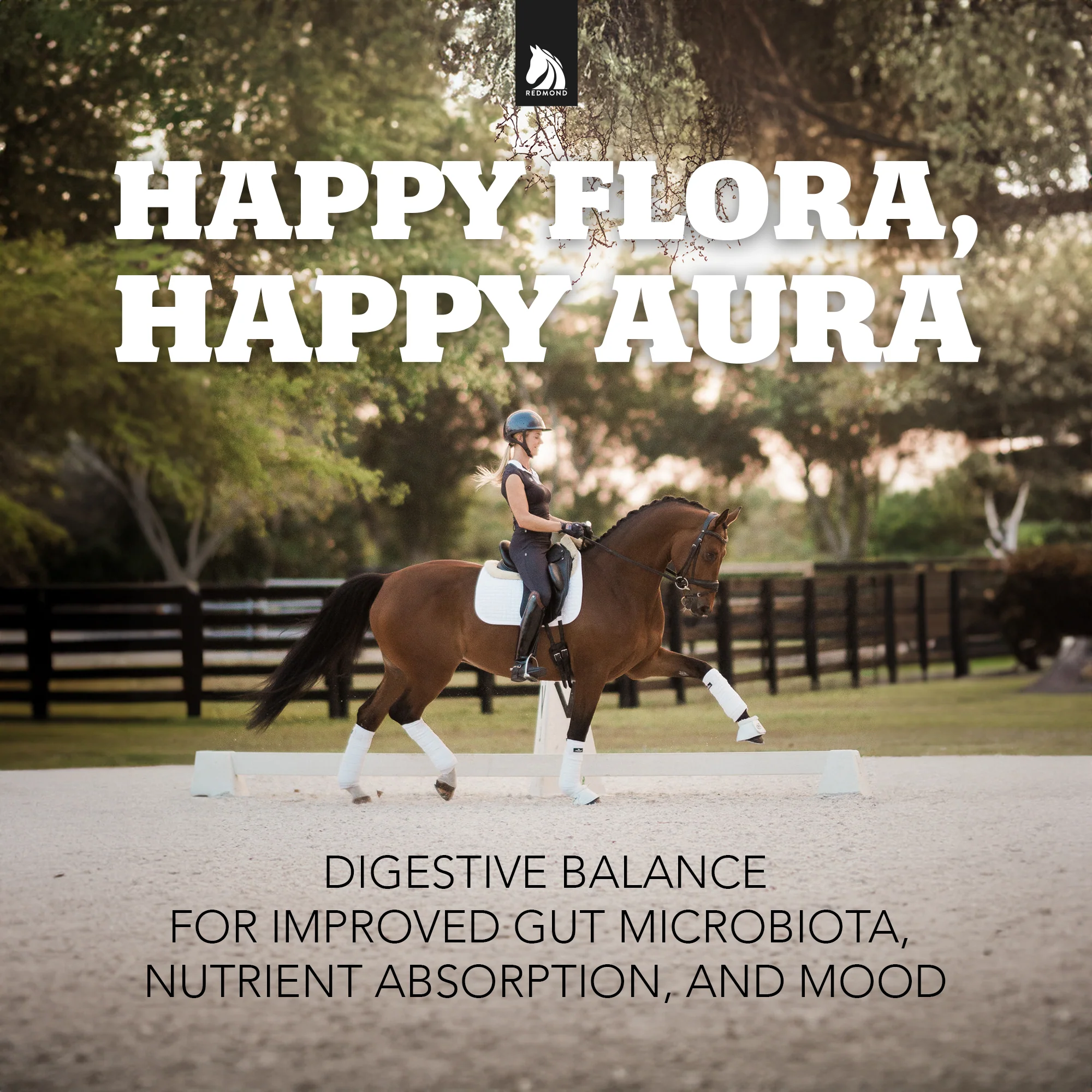 Daily Gold® - Horse Gut Supplements - Image 5