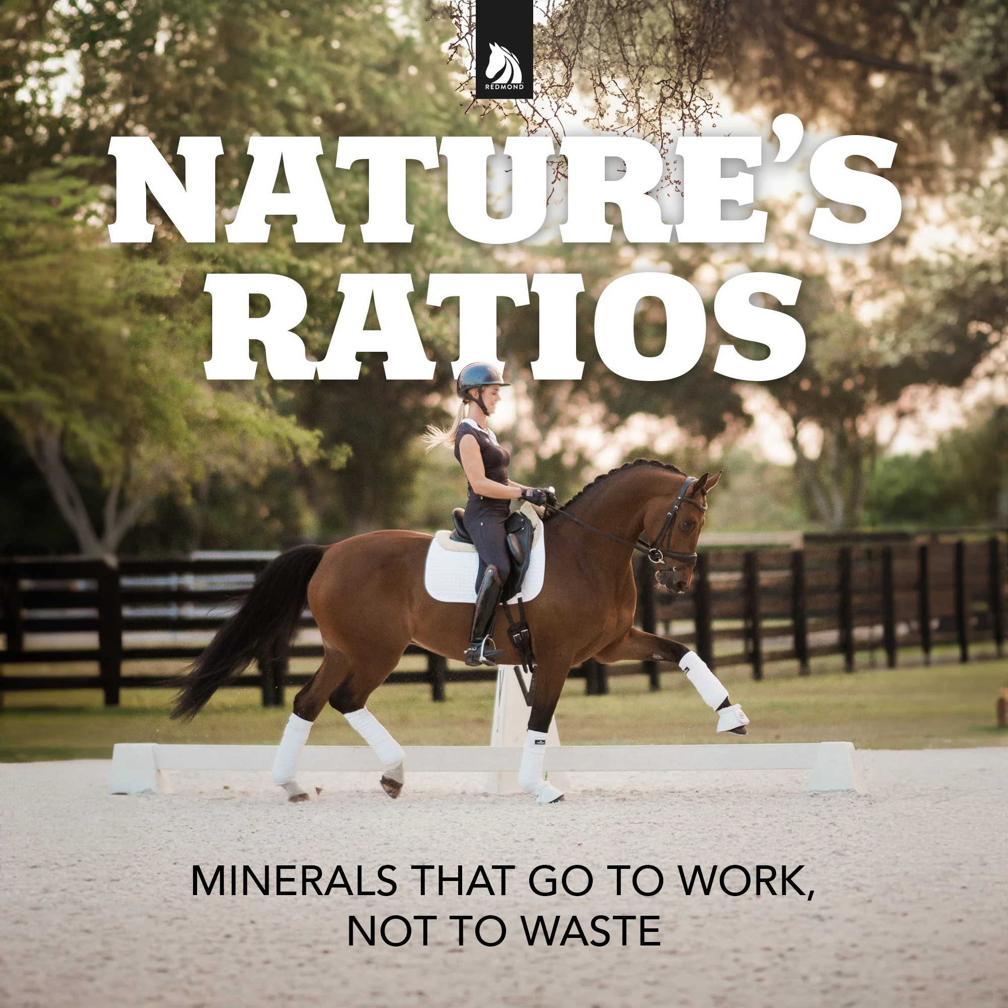 Daily Red® Fortified - Vitamin & Mineral Supplement For Horses - Image 3