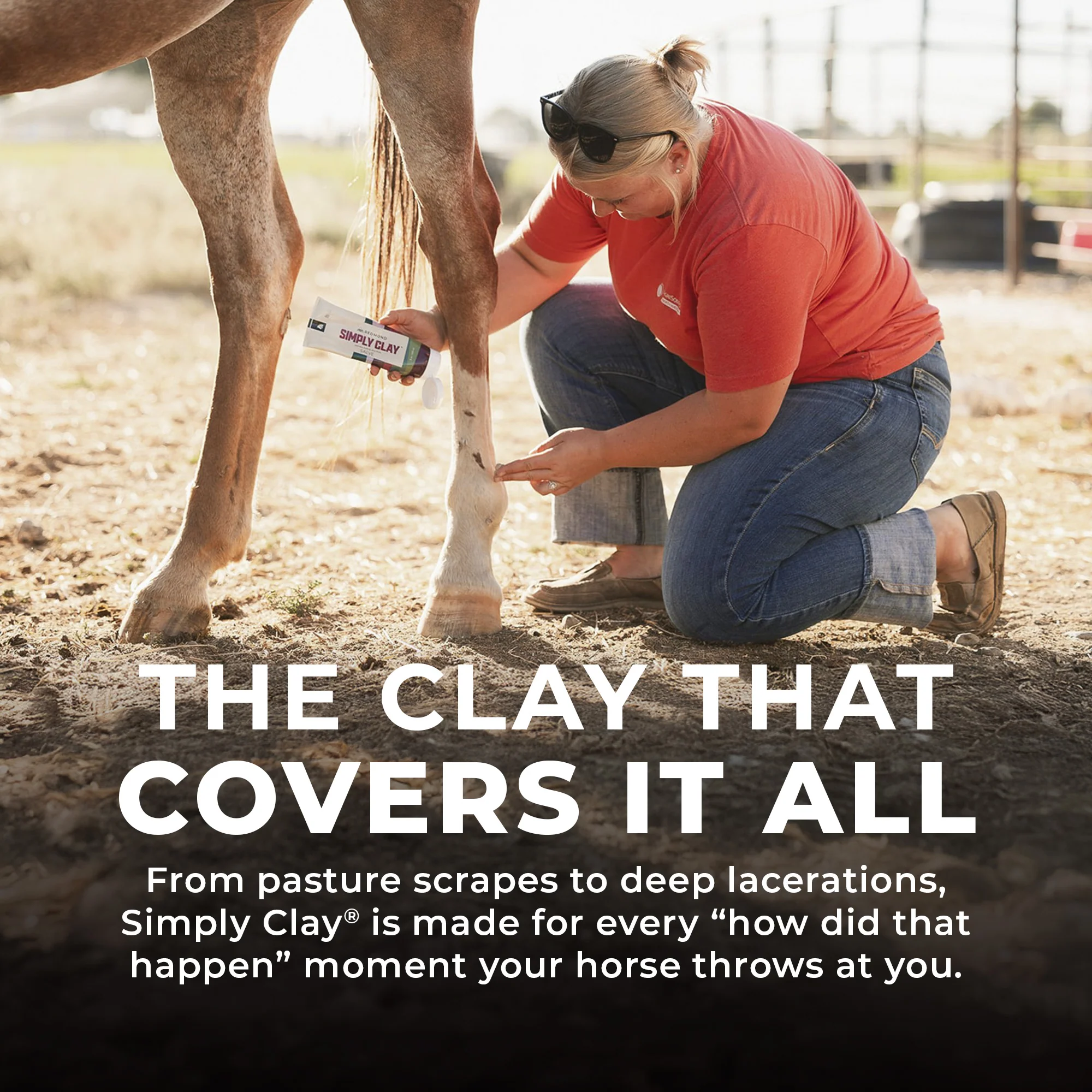 Simply Clay Salve – Bentonite Clay Horse Wound Care - Image 5