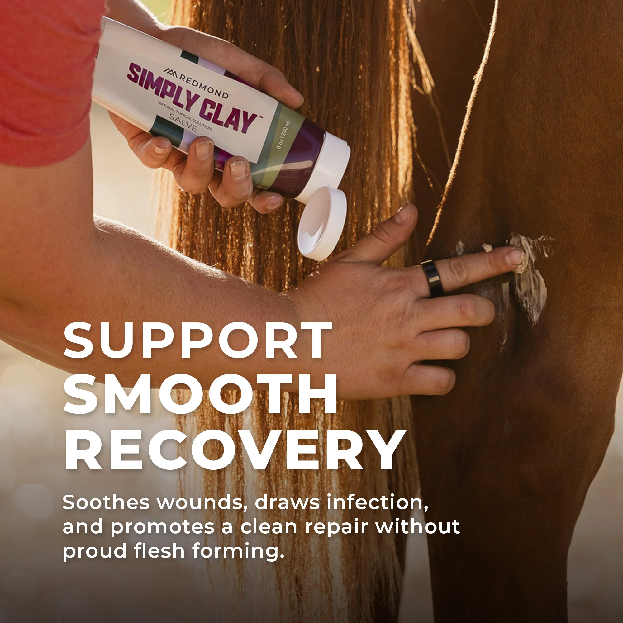 Simply Clay Salve – Bentonite Clay Horse Wound Care - Image 6