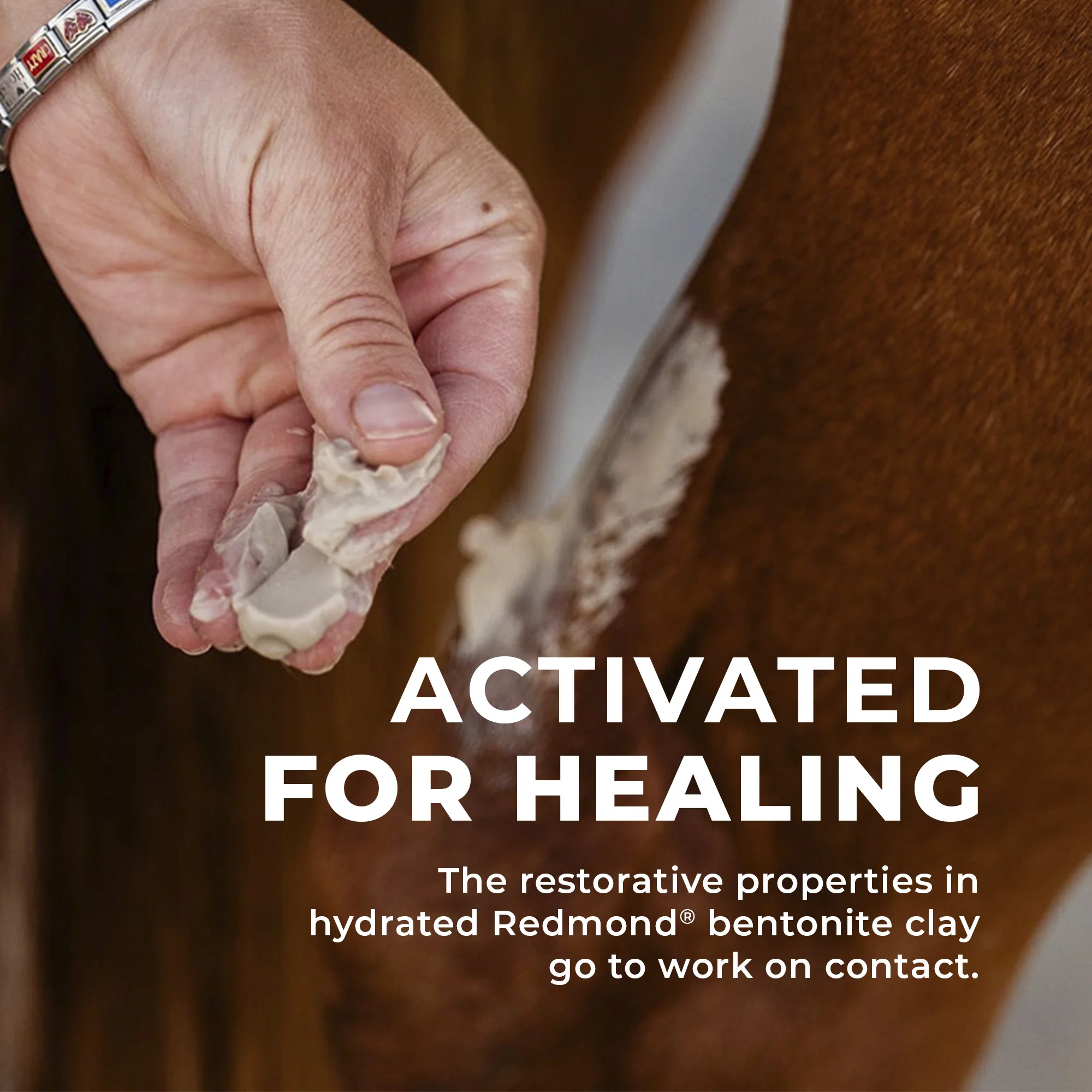 Simply Clay Salve – Bentonite Clay Horse Wound Care - Image 7