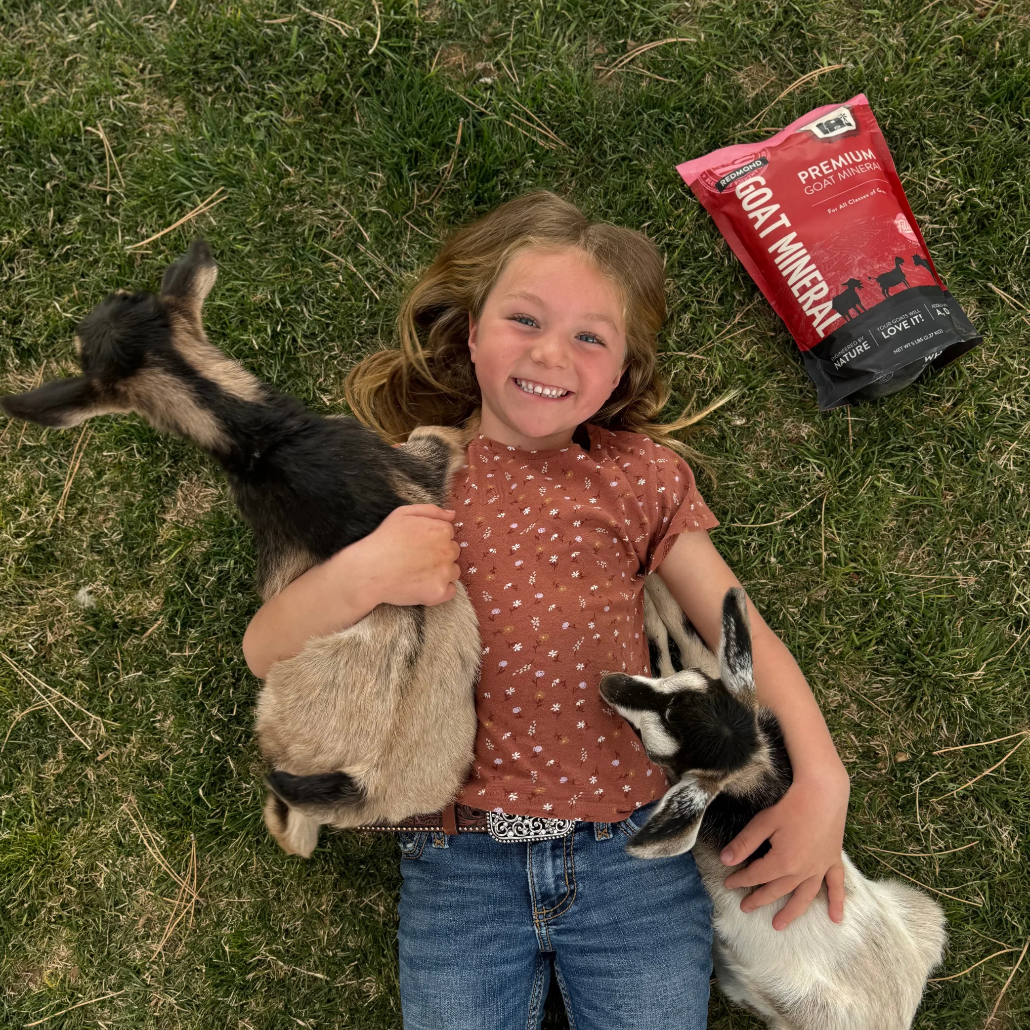 Goat Mineral - Image 4