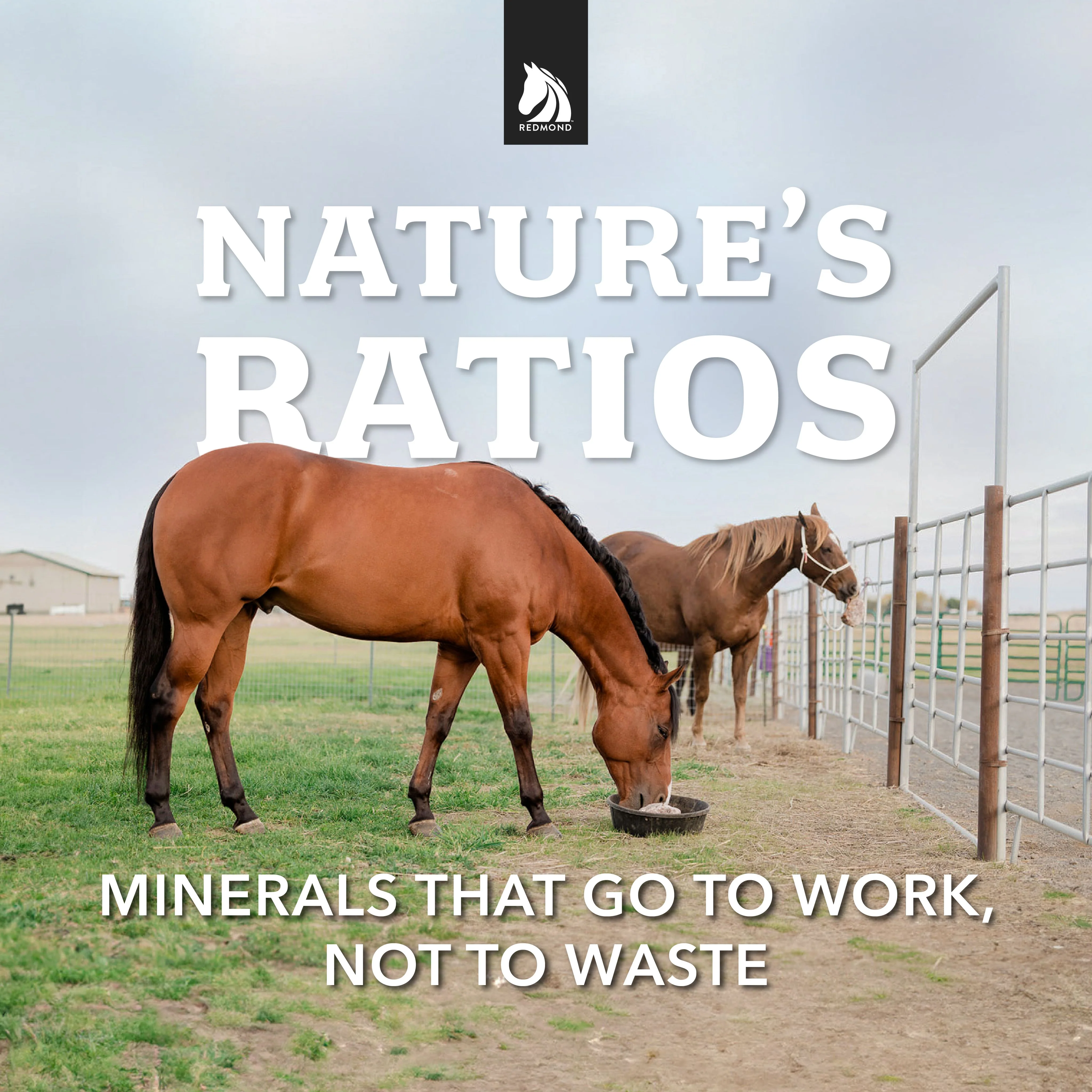 Redmond Rock® - Mined Horse Salt Lick - Image 4
