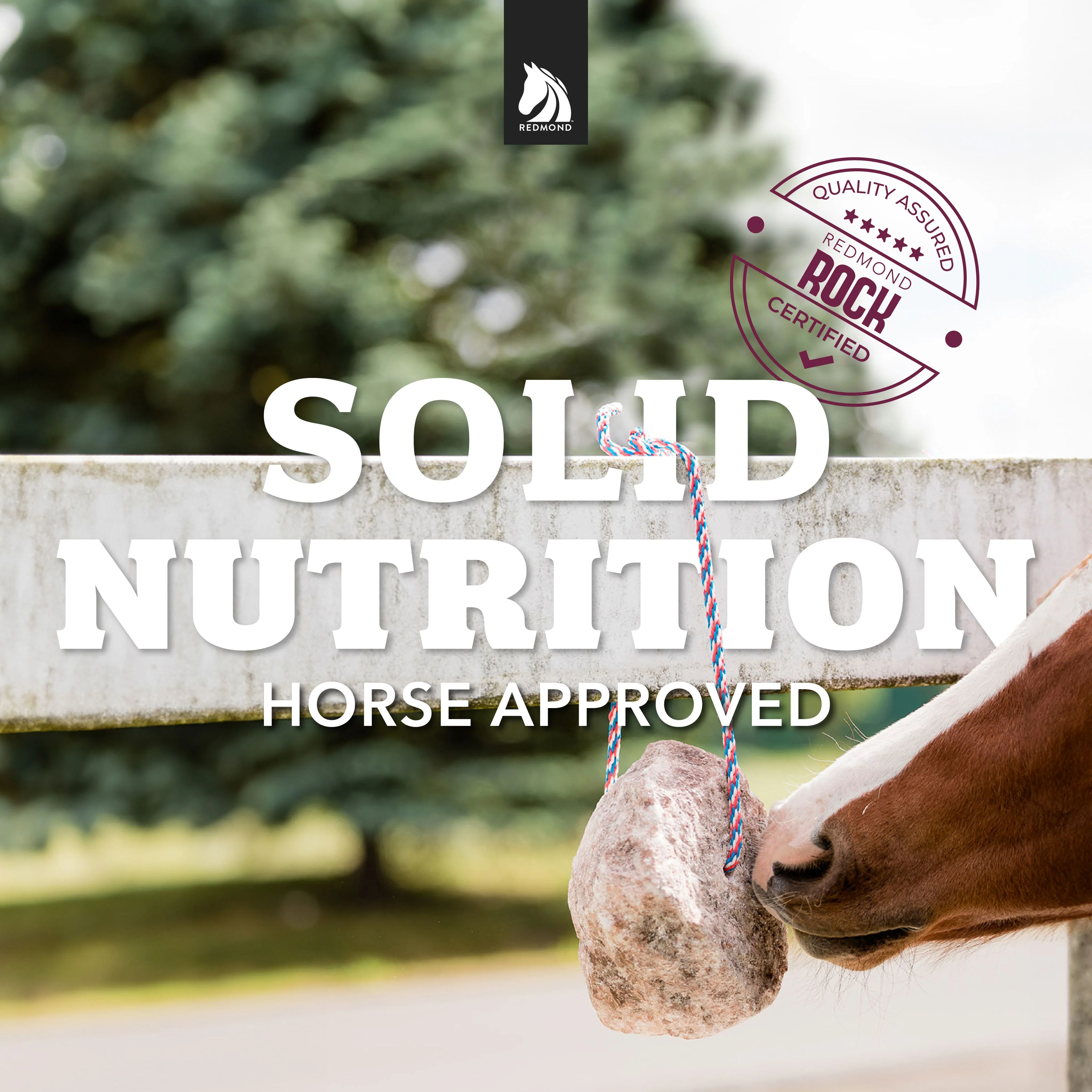 Redmond Rock® - Mined Horse Salt Lick - Image 5