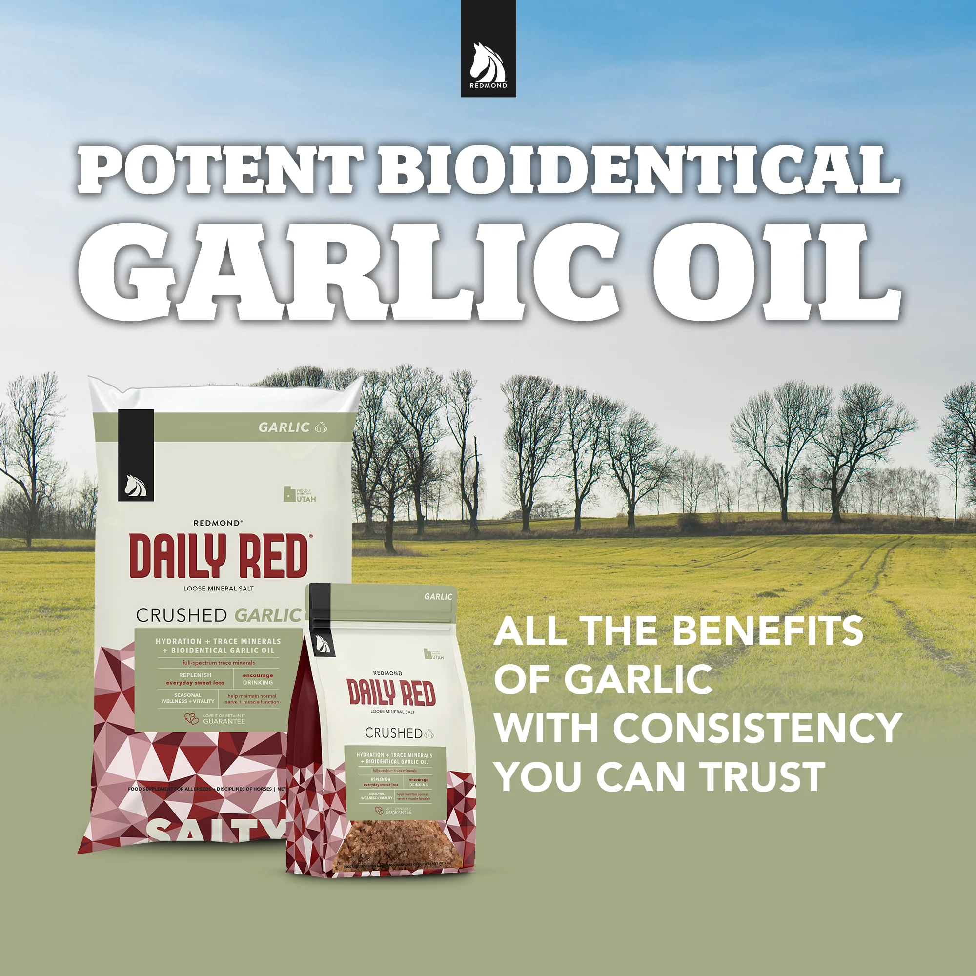 Daily Red® Crushed™ Garlic - Mineral Supplement for Horses - Image 3