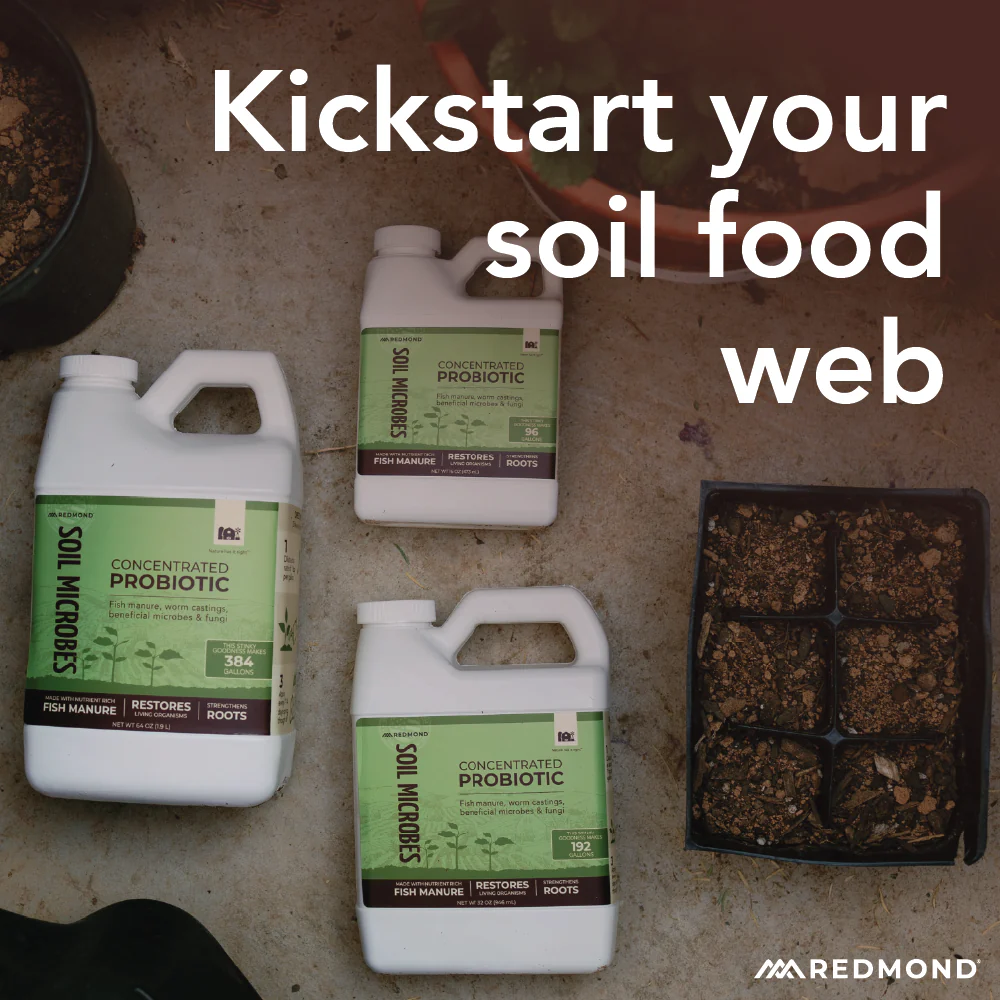 Soil Microbes - Concentrated Probiotic - Image 7